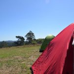 Camp out