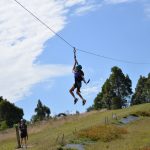 Flying Fox