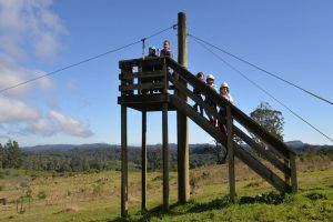Get ready for the Flying Fox